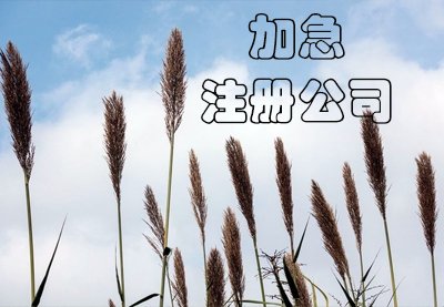 上海公司注冊都有哪些步驟？